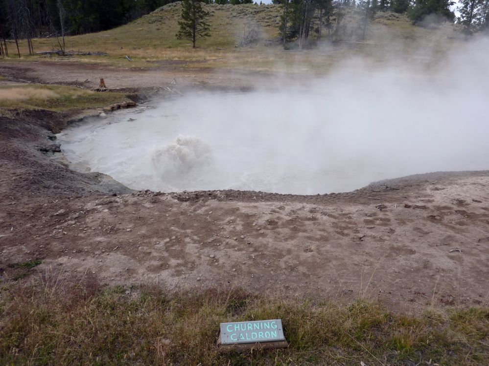Yellowstone Mud Volcano Area (8).JPG